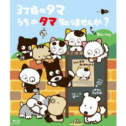 3丁目のタマ うちのタマ知りませんか? [Blu-ray Disc]