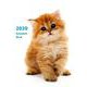 Schedule Book CAT 2020 [単行本]