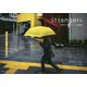 Strangers―日常の中にあるアートな風景 [単行本]
