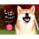 しばと暮らせば・柴犬カレンダー 2020 [カレンダー]