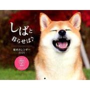 しばと暮らせば・柴犬カレンダー 2020 [カレンダー]