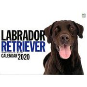 ラブラドール・レトリーバーカレンダー 2020 [カレンダー]