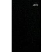 163 ビジネスプランミニ（黒） 2020 [ムックその他]