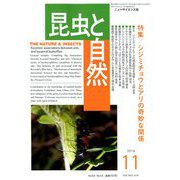 昆虫と自然 2019年 11月号 [雑誌]