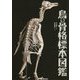 鳥の骨格標本図鑑（BIRDER SPECIAL） [図鑑]
