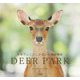 DEER PARK―世界でここにしかない奇跡の場所 [単行本]