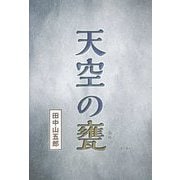 天空の甕 [単行本]