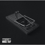ROTTENGRAFFTY Tribute Album ~MOUSE TRAP~