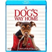 ベラのワンダフル・ホーム