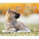 聴く、日本文学～朗読～ (キングのコレ!KING COLLECTION)