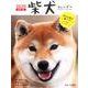 柴犬カレンダー卓上書き込み式B6タテ 2020 [カレンダー]