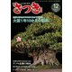 さつき研究 2019年 12月号 [雑誌]