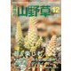 趣味の山野草 2019年 12月号 [雑誌]