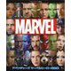 アベンジャーズマーベルヒーロー超全集(てれびくんデラックス愛蔵版) [単行本]