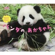 パンダのあかちゃん-ほんとうのおおきさでみてみよう！（おおきなかがく） [絵本]