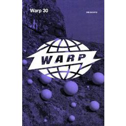Warp30（ele-king books 別冊ele-king） [単行本]