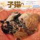 ぬくもり子猫カレンダー 2020 [カレンダー]