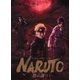 ライブ・スペクタクル NARUTO-ナルト- ～暁の調べ～ 2019 [DVD]