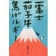 一富士茄子牛焦げルギー [単行本]