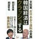 韓国経済はクラッシュする―文在寅「反日あおり運転」の末路 [単行本]