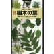 樹木の葉―実物スキャンで見分ける1300種類 増補改訂版 （山溪ハンディ図鑑〈14〉） [図鑑]