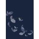 乃木坂46／いつのまにか、ここにいる Documentary of 乃木坂46 コンプリートBOX [DVD]