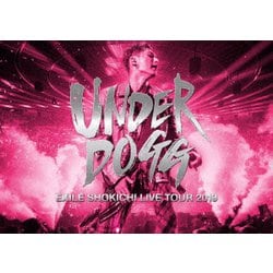 EXILE SHOKICHI／EXILE SHOKICHI LIVE TOUR 2019 UNDERDOGG [Blu-ray Disc]