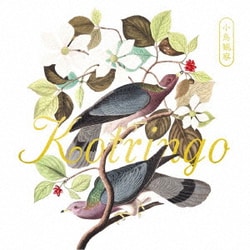 コトリンゴ／小鳥観察 Kotringo Best