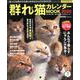 群れ猫カレンダーMOOK2020 （SUNエンタメMOOK） [カレンダー]