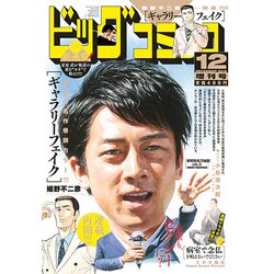 ビッグコミック増刊 2019年 12/17号 [雑誌]