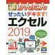 今すぐ使えるかんたん ぜったいデキます!エクセル2019(今すぐ使えるかんたんシリーズ) [単行本]