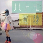ハトと電線