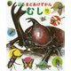 まどあけずかん むし―英語つき(小学館の図鑑NEO) [図鑑]
