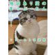 地図あり猫のまっぷーちんファースト写真集―「ねこ休み展」スピンオフ公認! [単行本]