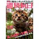 週刊朝日 2019年 12/13号 [雑誌]