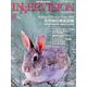 インナービジョン 第34巻第11号 [全集叢書]