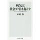 病気は社会が引き起こす―インフルエンザ大流行のワケ(角川新書) [新書]