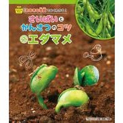 そだてるやさい おおきな写真でよくわかる!さいばいとかんさつのコツ〈2〉エダマメ [全集叢書]