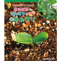 そだてるやさい おおきな写真でよくわかる!さいばいとかんさつのコツ〈4〉キュウリ [全集叢書]