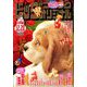 ビッグコミックオリジナル 2019年 12/20号 [雑誌]