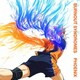 BURNOUT SYNDROMES／PHOENIX