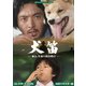 犬笛 -娘よ、生命の笛を吹け- コレクターズDVD<HDリマスター版> [DVD]