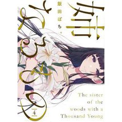 姉なるもの 4（電撃コミックスNEXT 185-4） [コミック]