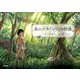森の少年「ソウ」の物語 [絵本]