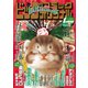 ビッグオリジナル増刊 2020年 1/12号 [雑誌]