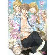 双子の王子の面倒な求愛（幻冬舎ルチル文庫） [文庫]