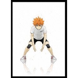 ハイキュー!! TO THE TOP Vol.1 [DVD]