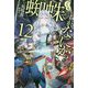 蜘蛛ですが、なにか?〈12〉(カドカワBOOKS) [単行本]