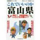 地域批評シリーズ44これでいいのか富山県（地域批評シリーズ 特別編集） [文庫]