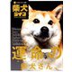 柴犬ライフ 2020年 02月号 [雑誌]